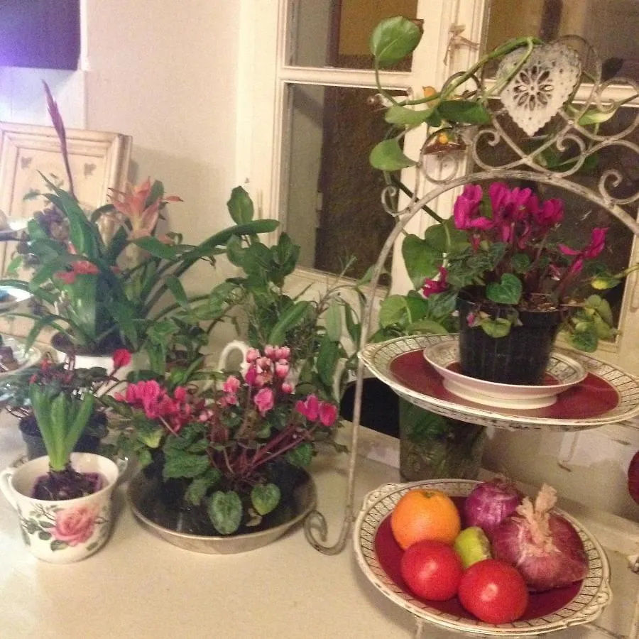 Il Giardino Segreto Bed & Breakfast Castelnuovo Magra